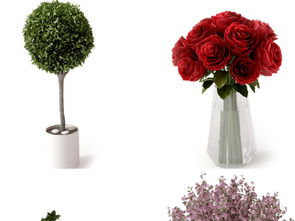 現(xiàn)代綠植盆栽精品陶罐花卉景觀設計與資源下載指南