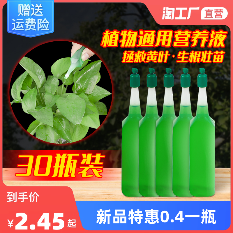 花卉網(wǎng)購熱潮 現(xiàn)代生活的新寵與消費趨勢解析