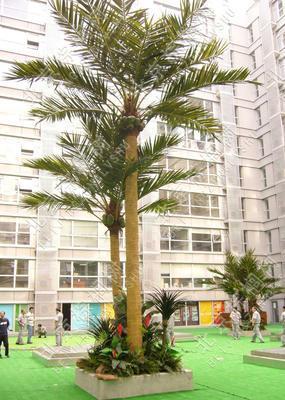 銀川高質(zhì)量仿真椰子樹產(chǎn)品，為城市景觀增添熱帶風情