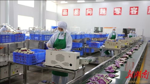 武岡科技小院 科技創新賦能特色產業，引領農民增收致富